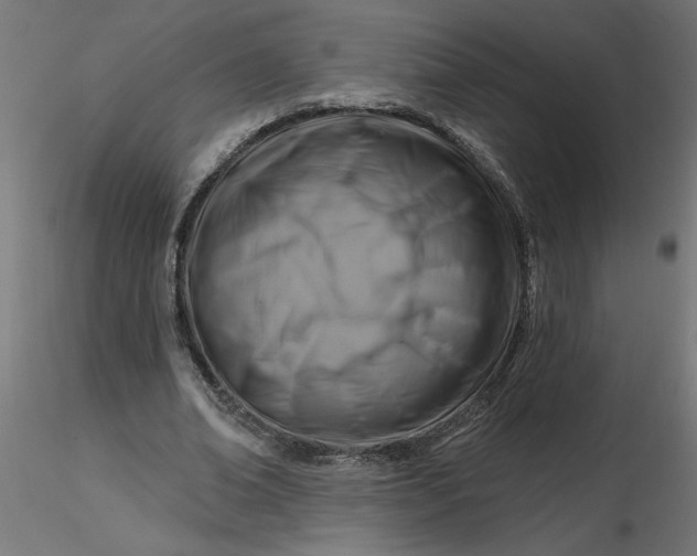 X0000116670678200912291659