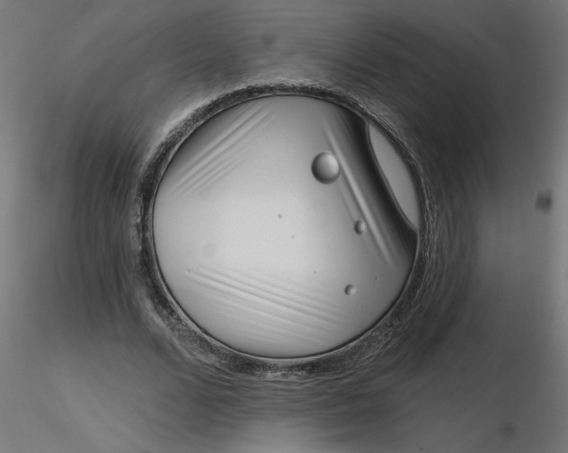 X0000116670680200912291659