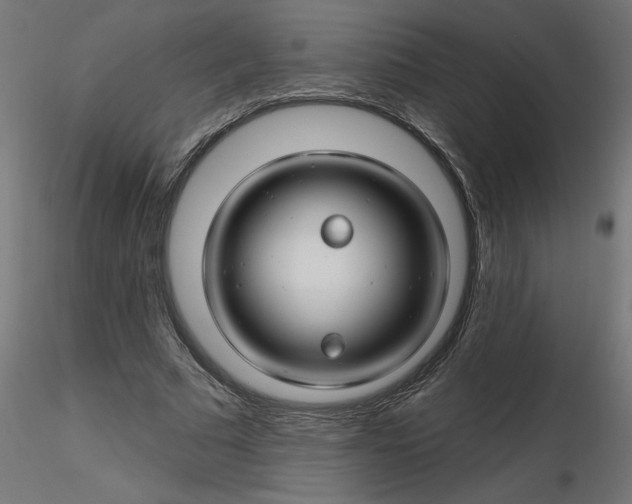 X0000116670681200912291659