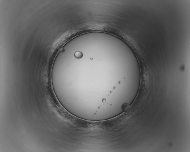 X0000116670682200912291659