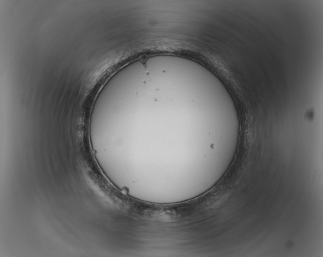 X0000116670683200912291659