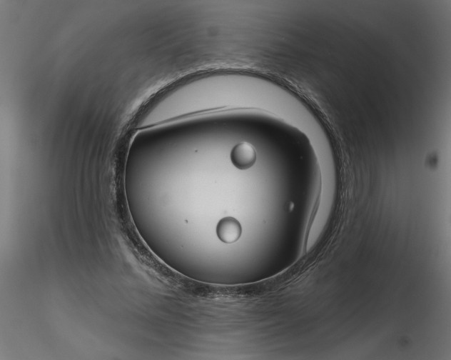 X0000116670684200912291659