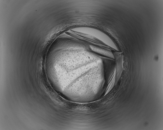 X0000116670685200912291659