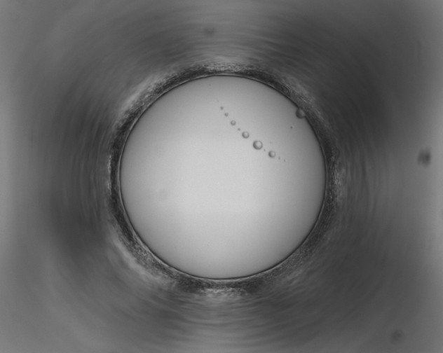 X0000116670686200912291659