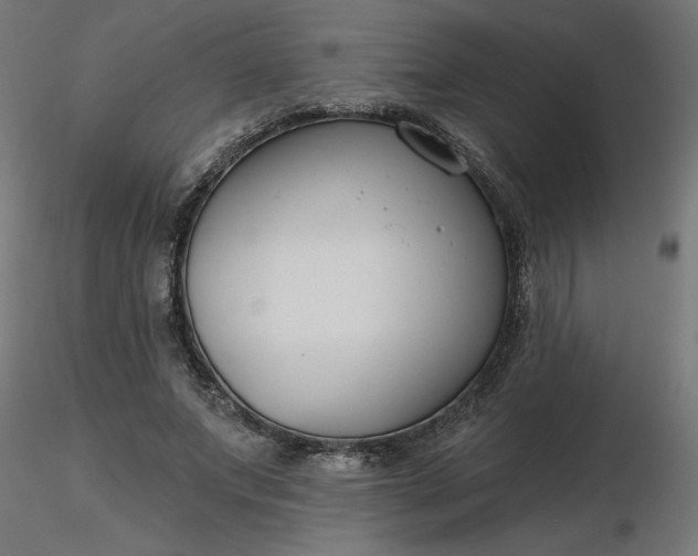 X0000116670687200912291659