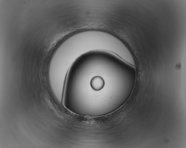 X0000116670688200912291659