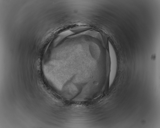 X0000116670689200912291659