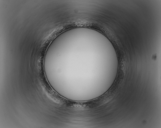 X0000116670690200912291659