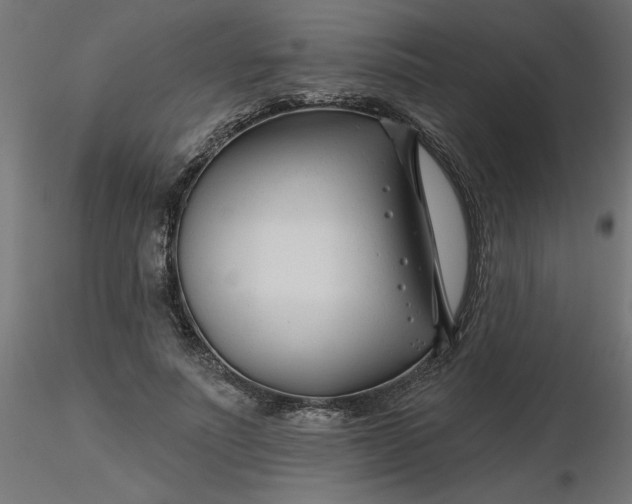 X0000116670691200912291658