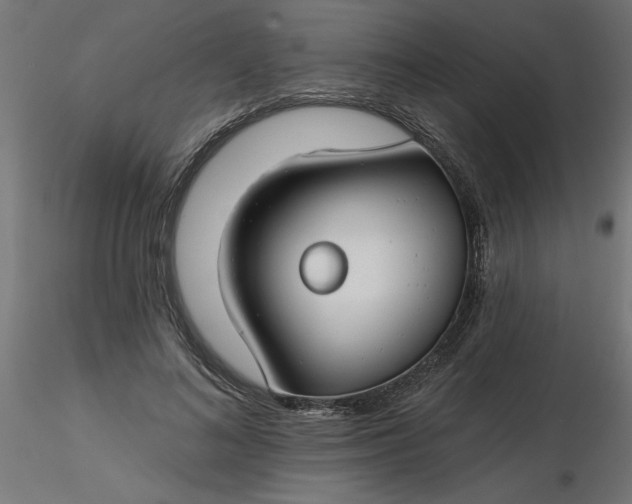 X0000116670692200912291658