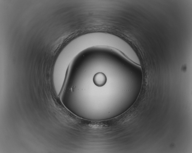 X0000116670693200912291658