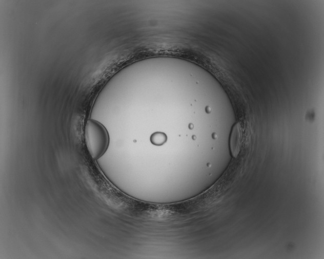 X0000116670695200912291658