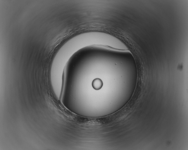 X0000116670696200912291658