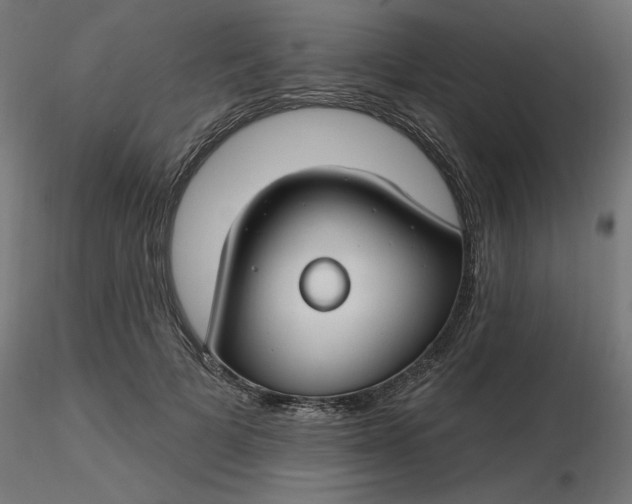 X0000116670697200912291658