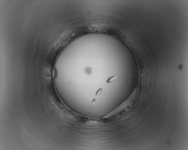 X0000116670699200912291658