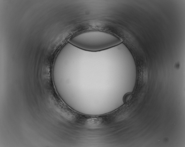 X0000116670700200912291658