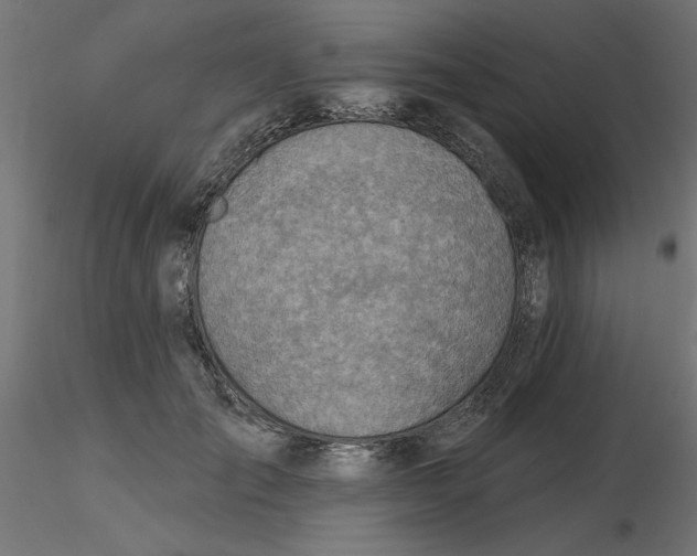 X0000116670701200912291658