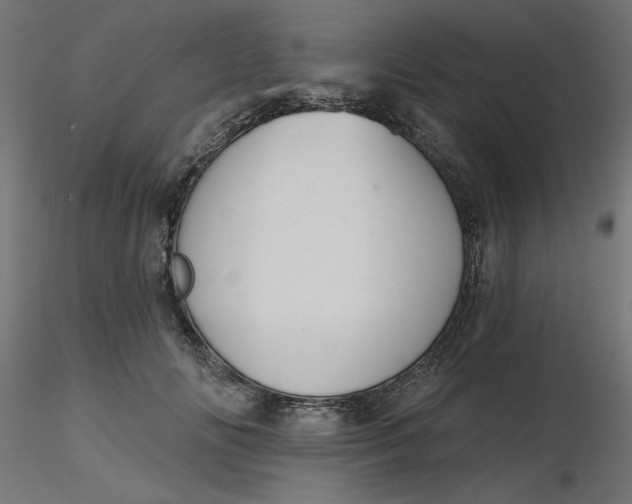 X0000116670702200912291658