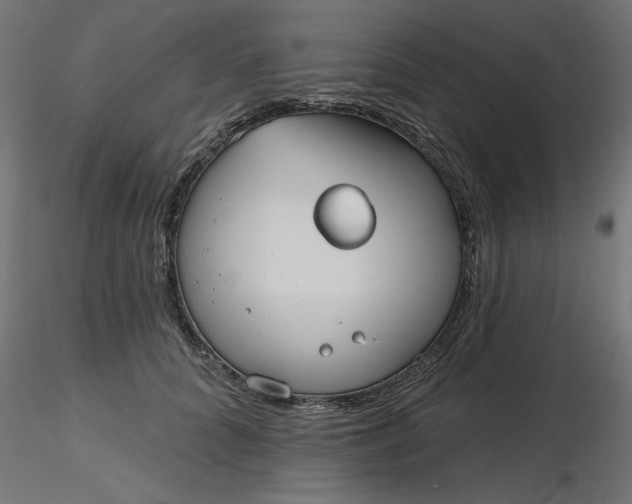 X0000116670704200912291658