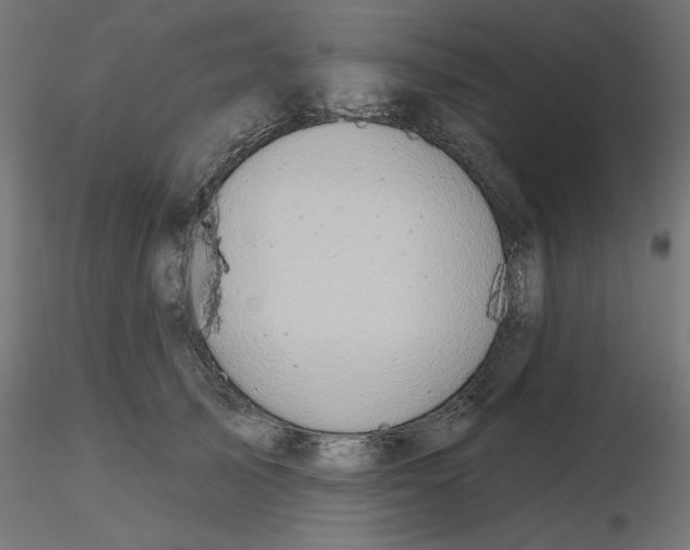 X0000116670705200912291658