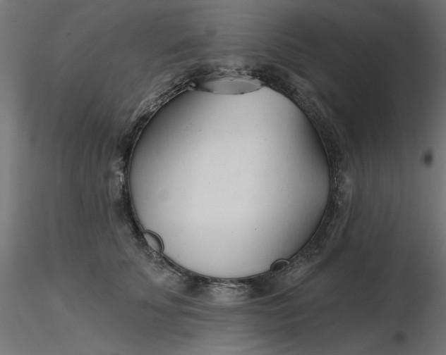 X0000116670707200912291658