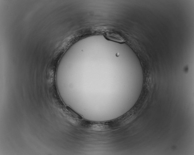 X0000116670708200912291658