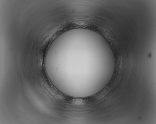 X0000116670710200912291658