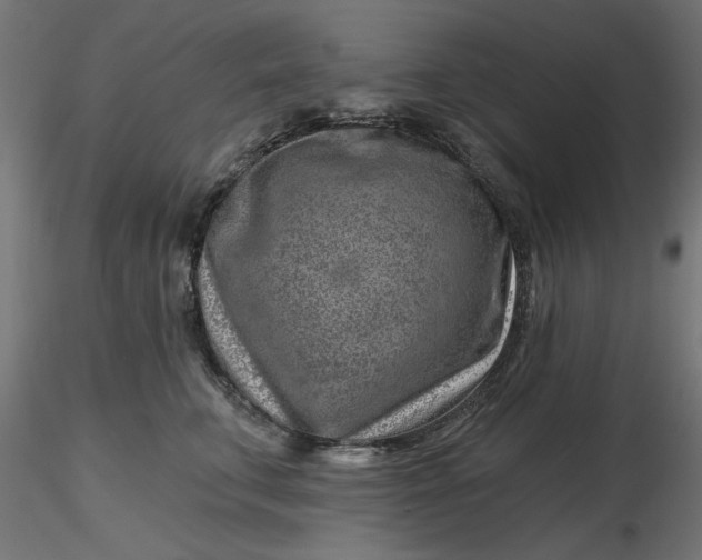 X0000116670711200912291658