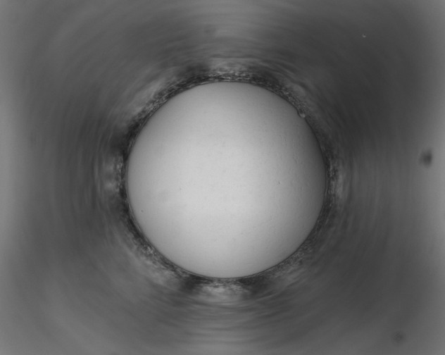 X0000116670712200912291658