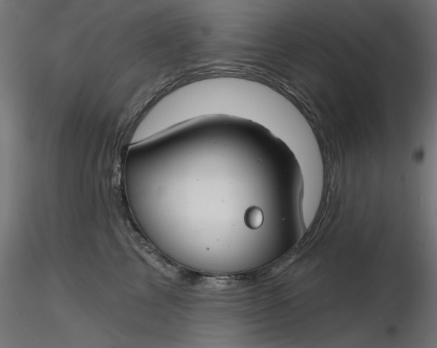 X0000116670713200912291658