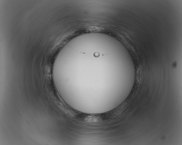 X0000116670714200912291658