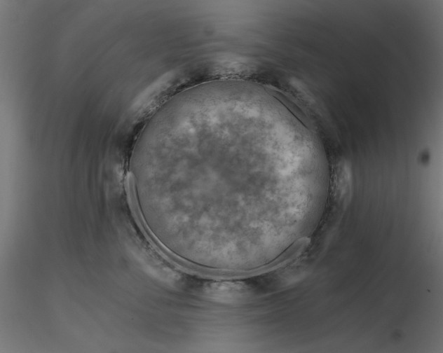 X0000116670716200912291658