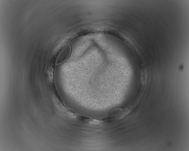 X0000116670718200912291658