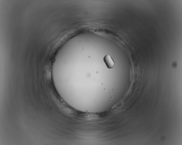 X0000116670719200912291658