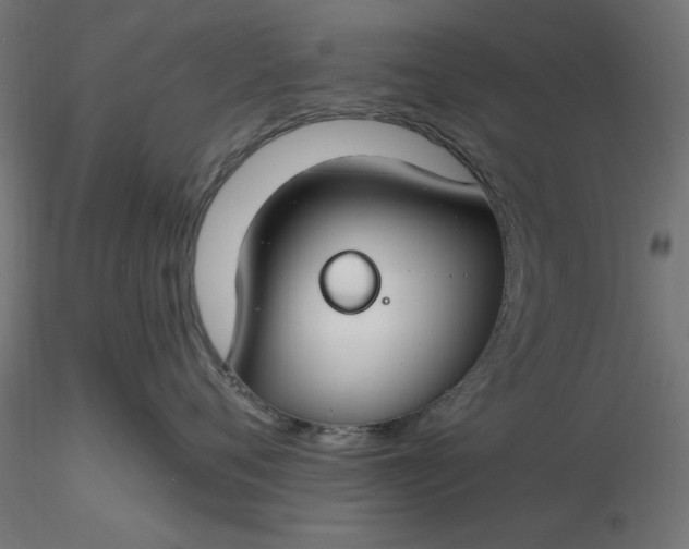 X0000116670720200912291658