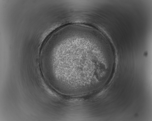 X0000116670721200912291657