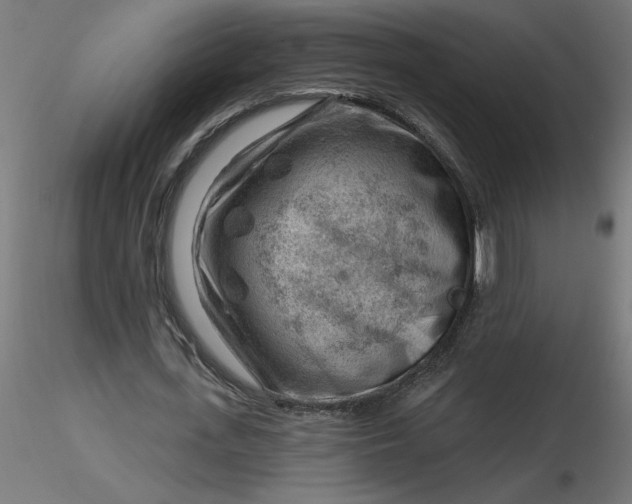 X0000116670723200912291657