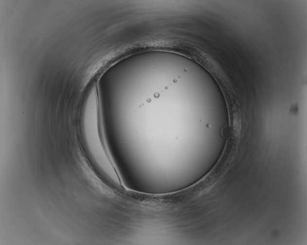 X0000116670725200912291657