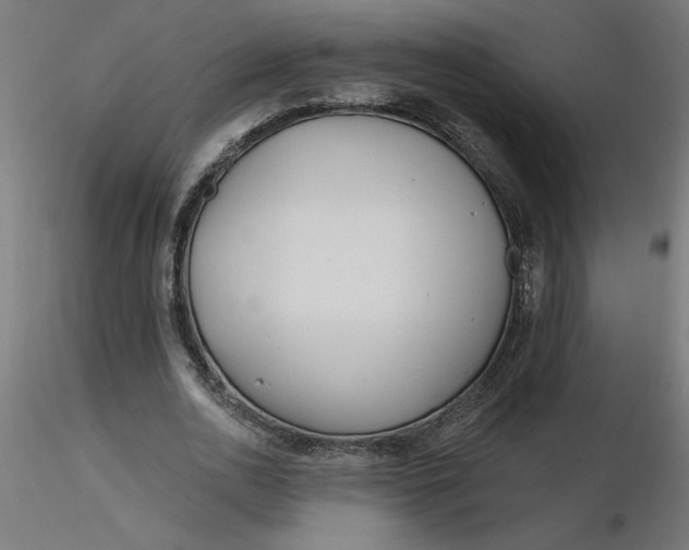 X0000116670726200912291658