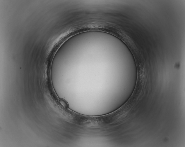 X0000116670727200912291658