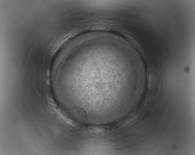 X0000116670729200912291658