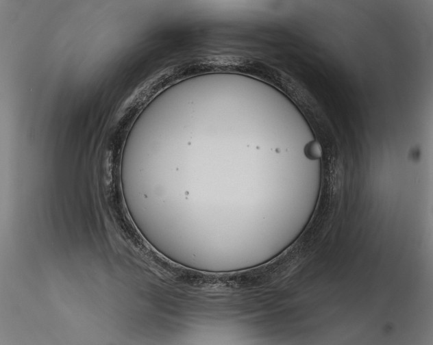 X0000116670731200912291658