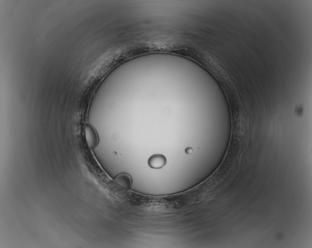 X0000116670738200912291658