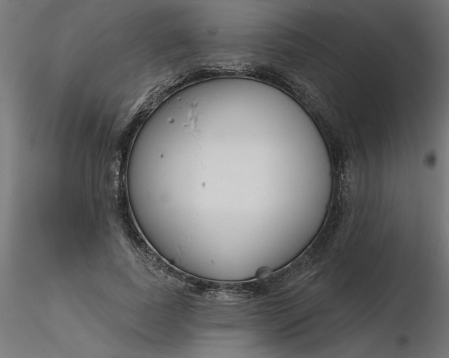 X0000116670739200912291658