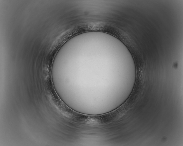 X0000116670741200912291658