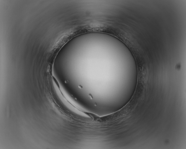 X0000116670742200912291658