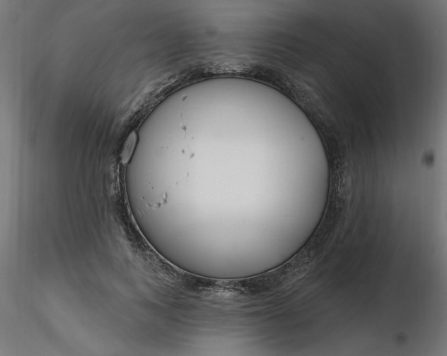 X0000116670743200912291658