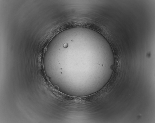 X0000116670745200912291658