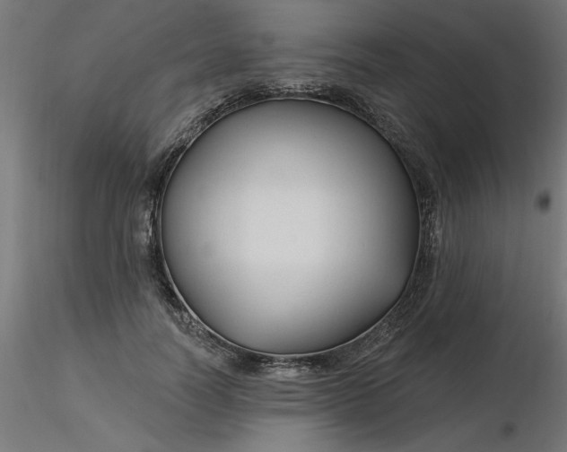 X0000116670746200912291658