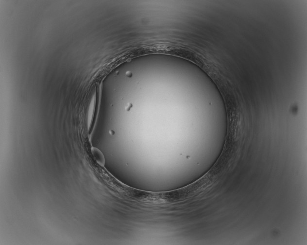 X0000116670747200912291658